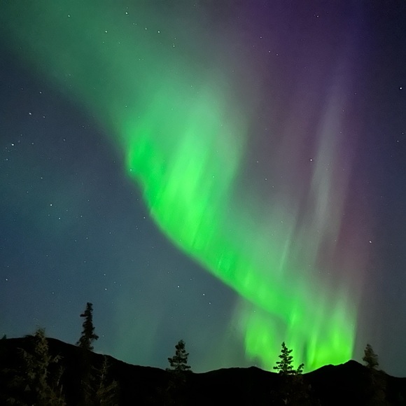 Meet your Posher, Lisa - Picture 1 of 5